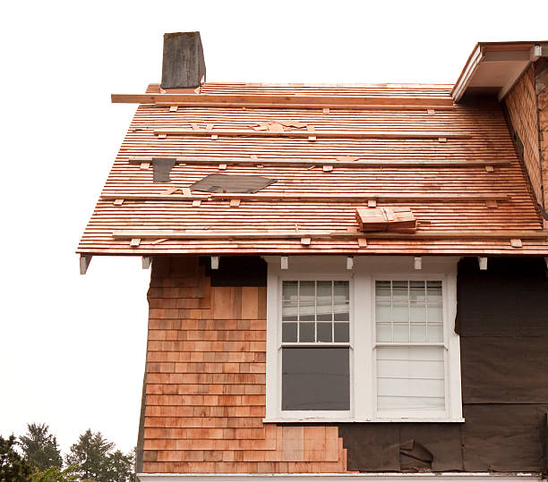 Best Siding Repair  in Perry, FL